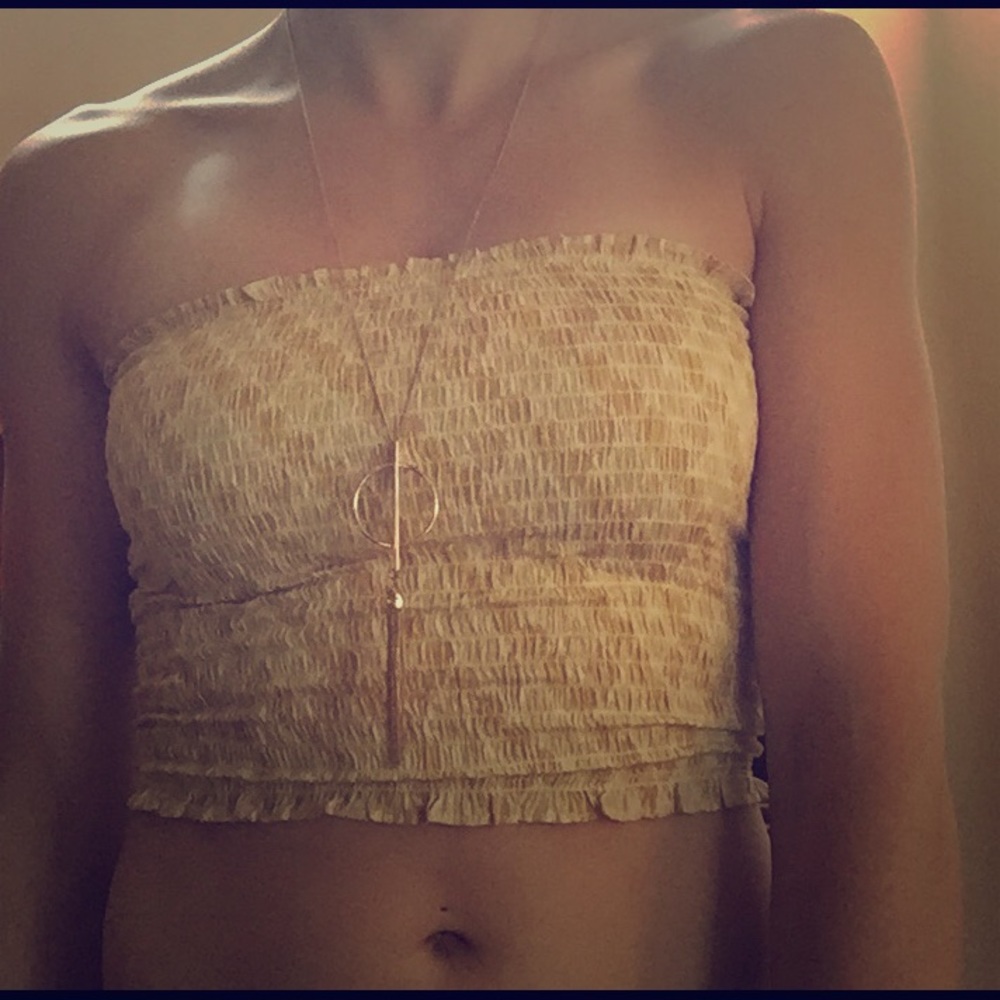 Wild Honey Crop Tube Top